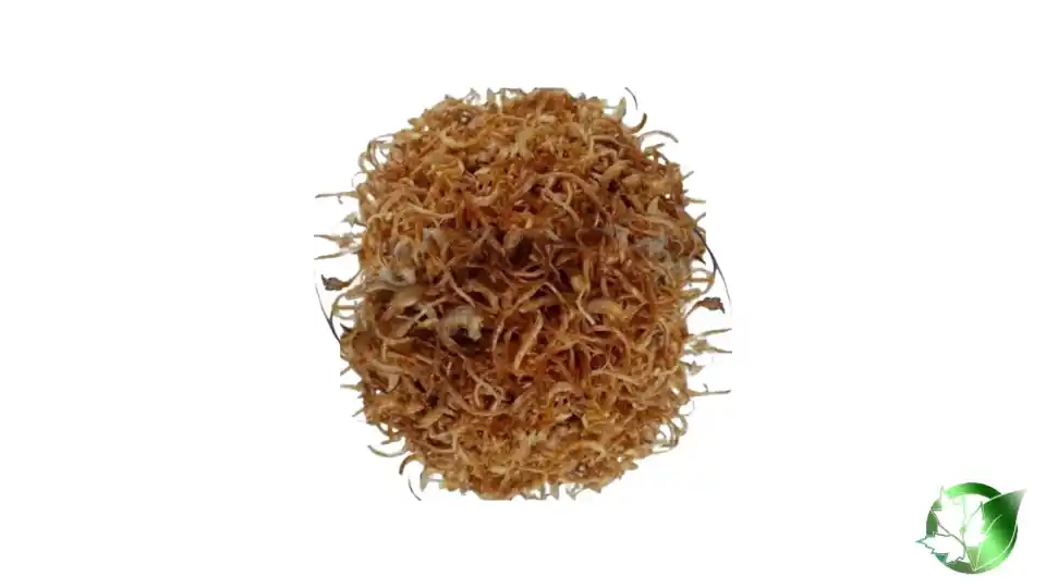 Bulk Frozen Fried Onions | Suppliers | Wholesale | ParsaFood Global